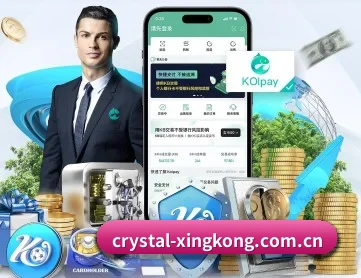 星空官网入口 APP 深度功能