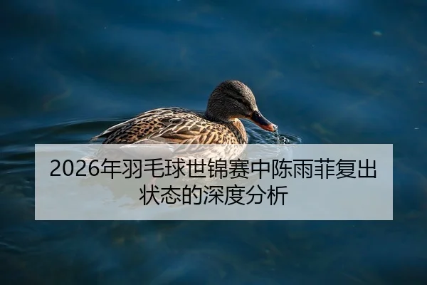 2026年羽毛球世锦赛中陈雨菲复出状态的深度分析