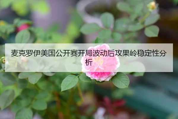 mai-ke-luo-yi-mei-guo-gong-kai-sai-kai-ju-bo-dong-hou-gong-guo-ling-wen-ding-xing-fen-xi-1-933.jpg