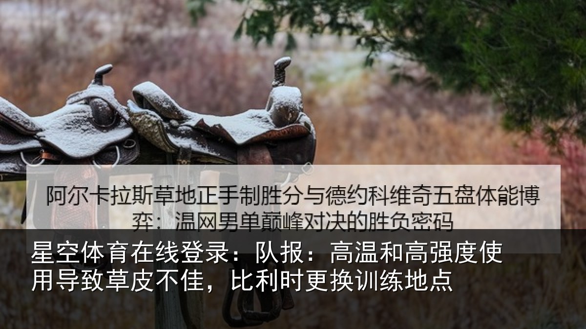 星空体育在线登录:队报:高温和高强度使用导致草皮不佳,比利时更换训练地点