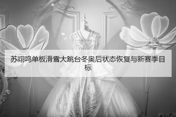 su-yi-ming-dan-ban-hua-xue-da-tiao-tai-dong-ao-hou-zhuang-tai-hui-fu-yu-xin-sai-ji-mu-biao-2-787.jpg