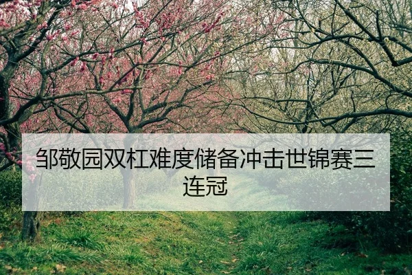 邹敬园双杠难度储备冲击世锦赛三连冠
