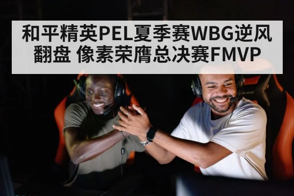 和平精英PEL夏季赛WBG逆风翻盘 像素荣膺总决赛FMVP